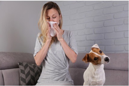 Como evitar alergias en el hogar con purificadores de aire hepa